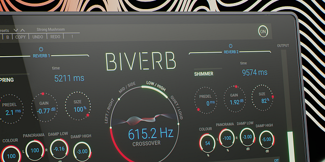 Biverb Manual